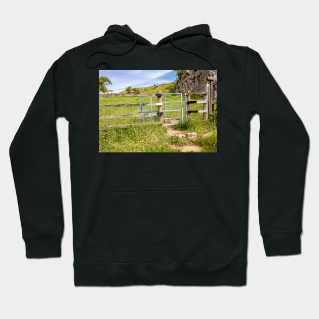 Welsh Coastal Path, Gower, South Wales. One of the many metal gates to fence in livestock grazing along the coastal path Hoodie by yackers1